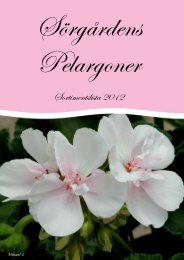 Sörgårdens Pelargoner