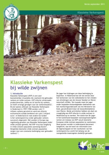 Klassieke Varkenspest bij wilde zwijnen - DWHC