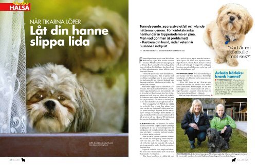 Kärlekskranka hanhundar (Härliga Hund) - Tilvemo