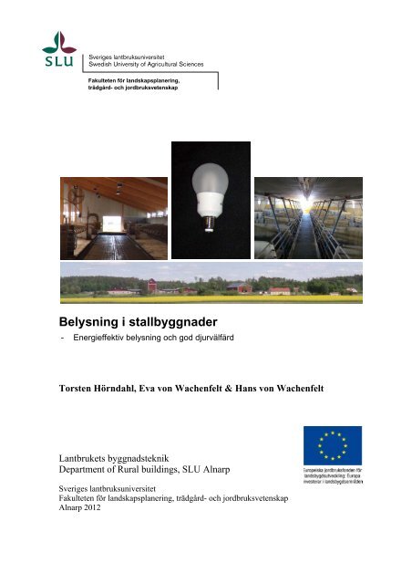 Ljus i stallbyggnader, LBT, 2013.pdf