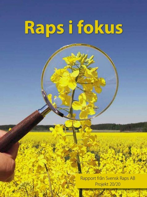 Rapport från Svensk Raps AB Projekt 20/20 - Rapsi.fi