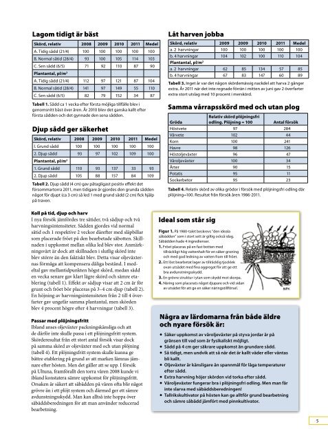 Rapport från Svensk Raps AB Projekt 20/20 - Rapsi.fi