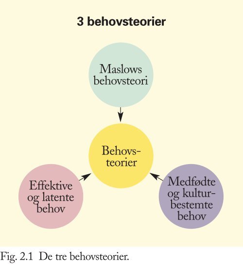 Forbrugernes behov og købemotiv - trojka.dk