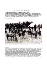 Het karakter van het sportpaard - Europees Arabisch Stamboek