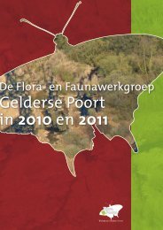 Gelderse Poort in 2010 en 2011 - Flora- en Faunawerkgroep ...