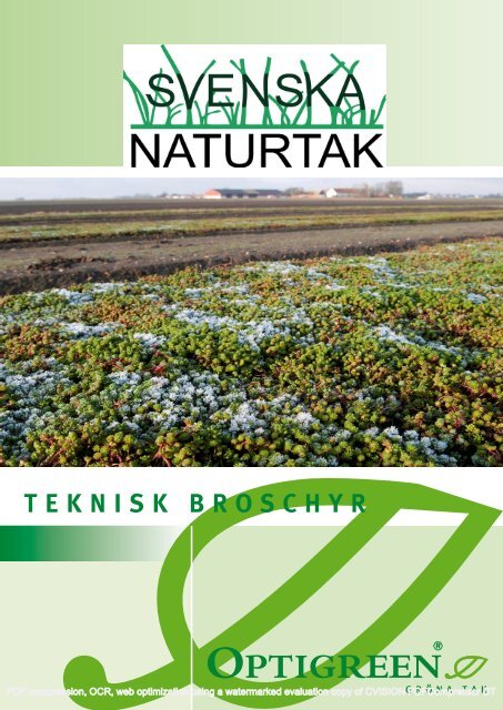 Optigreen systemlösning ”Lutande tak“. - Svenska Naturtak