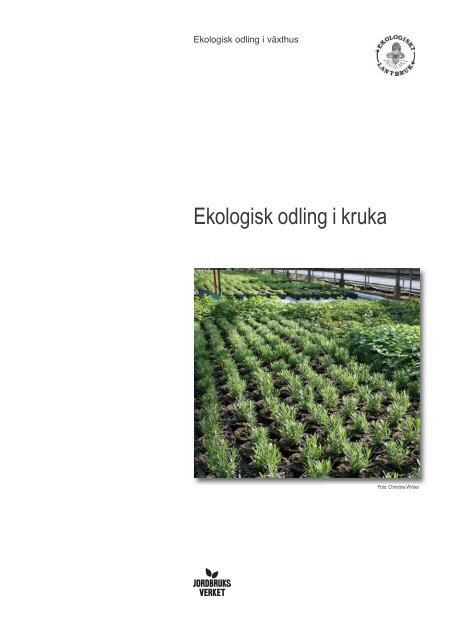 Ekologisk odling i kruka - bild - Jordbruksverket