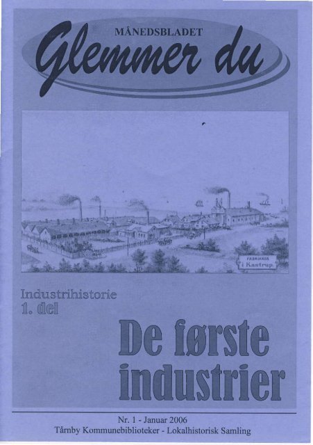 Glemmer du 2006/1