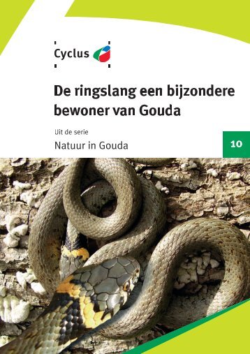 10 Ringslang een bijzondere bewoner van Gouda - Cyclus NV