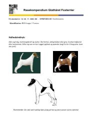 Rasekompendium Glathåret Foxterrier - Dansk Terrier Klub