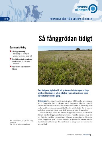 broschyren som pdf. - Greppa näringen