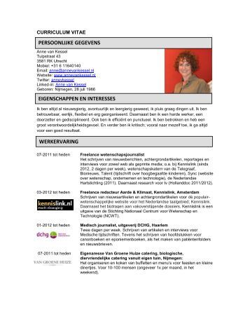 voorbeeld chronologisch cv risicomanagement academie voorbeeld chronologisch cv risicomanagement academie