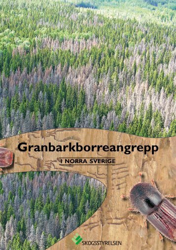 Broschyr om granbarkborreangrepp i norra Sverige - Skogsstyrelsen