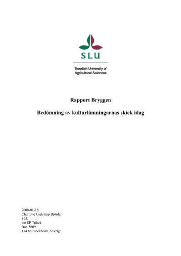 Rapport Bryggen Bedömning av kulturlämningarnas skick idag