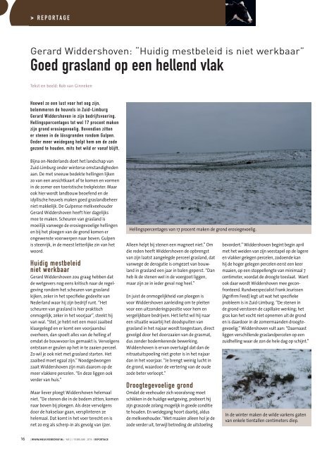 goed grasland op een hellend vlak - Melkveebedrijf