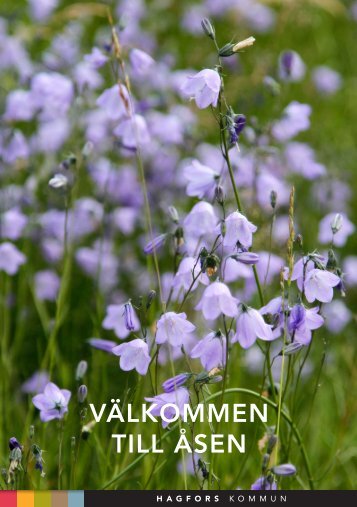 VÄLKOMMEN TILL ÅSEN - Hagfors