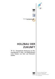 Download Zusammenfassung - Lehrstuhl für Holzbau und ...