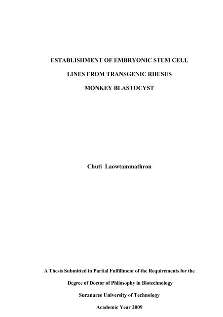 establishment of embryonic stem cell lines from transgenic rhesus ...