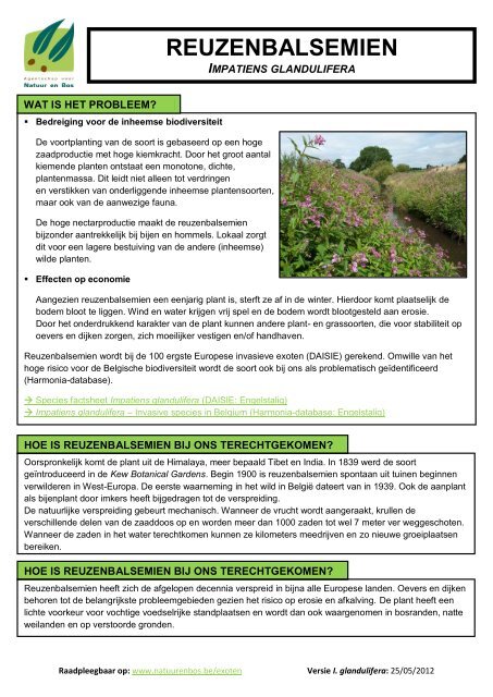 Reuzenbalsemien (pdf) - Agentschap voor Natuur en Bos