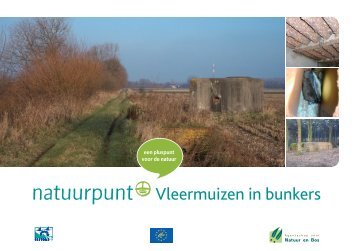 Vleermuizen in bunkers - Agentschap voor Natuur en Bos