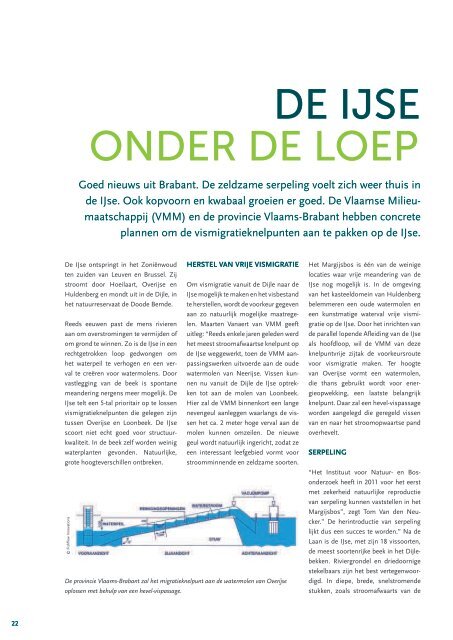 Download Vislijn 2013 in pdf-formaat - Agentschap voor Natuur en ...