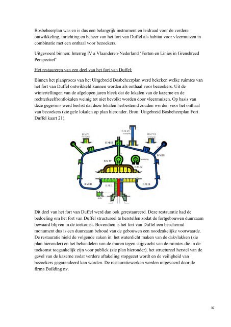 Lees het eindrapport van BatAction - Agentschap voor Natuur en Bos