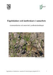 Projektbeskrivning - Sveriges Ornitologiska Förening