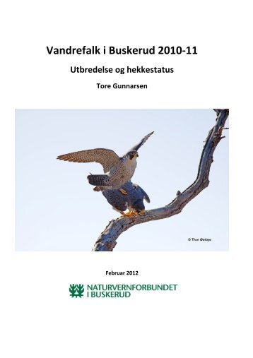 Årsrapport vandrefalk 2010-11.pdf - Norges Naturvernforbund