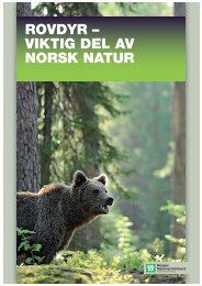rovdyr – viktig del av norsk natur - Norges Naturvernforbund