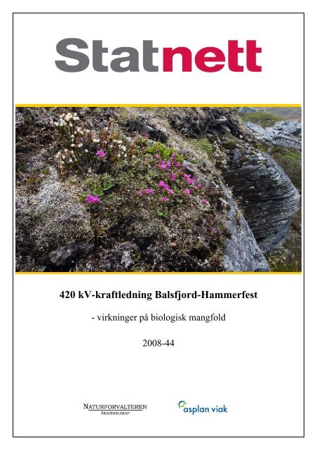 Fagrapport og temakart: naturmiljø.pdf - Statnett