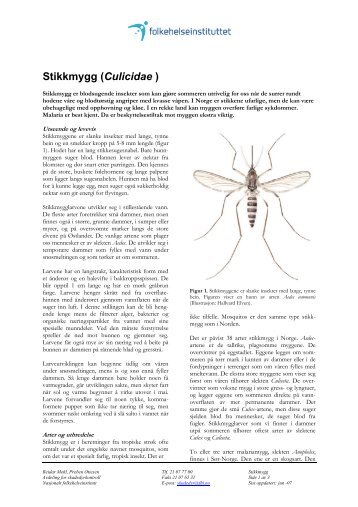 Stikkmygg - Nasjonalt folkehelseinstitutt