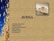 avena brevis