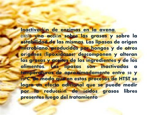 avena brevis