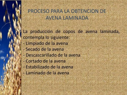 avena brevis