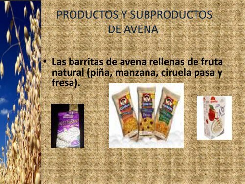 avena brevis