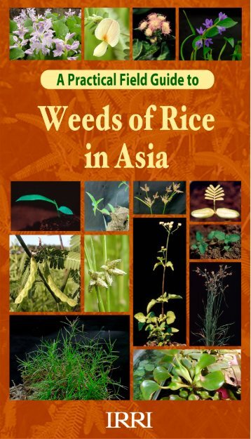 A practical field guide to weeds of rice - Forum for Agricultural ...