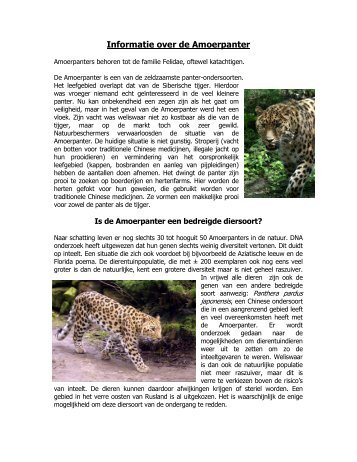 Informatie over de Amoerpanter - Diergaarde Blijdorp