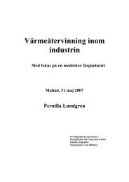 Med fokus på en medelstor färgindustri - Tfe - Umeå universitet