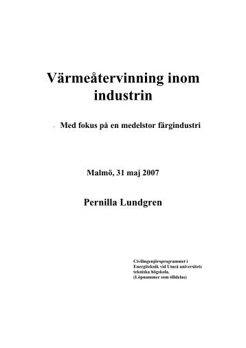 Med fokus på en medelstor färgindustri - Tfe - Umeå universitet