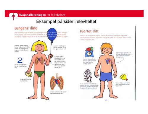 Nasjonalforeninga for folkehelsa - ''Petter Puls undervisningsopplegg'