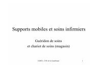 Supports mobiles et soins infirmiers - CLIN Sud-Ouest