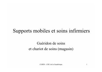 Supports mobiles et soins infirmiers - CLIN Sud-Ouest