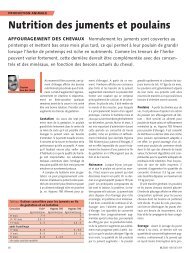 Nutrition des juments et poulains (pdf / 328 KB) - Hypona