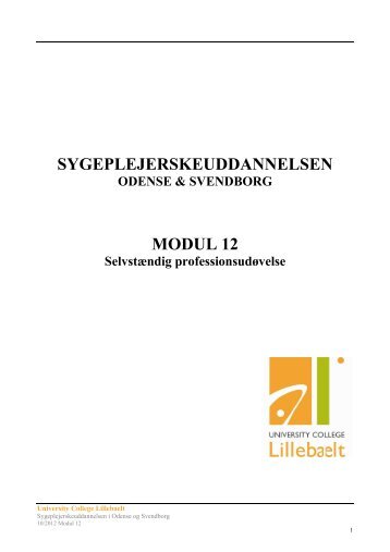 SYGEPLEJERSKEUDDANNELSEN MODUL 12