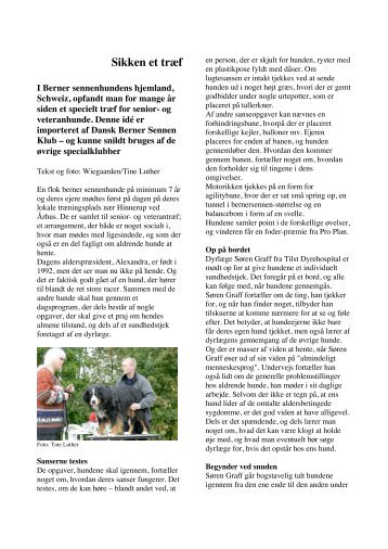 senior & veterandag - Dansk Berner Sennen Klub