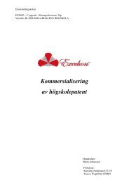 Kommersialisering av högskolepatent - Ekonomihögskolan ...