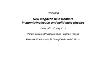 New magnetic field frontiers in atomic/molecular and solid ... - irsamc