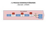 6. PROCESS EXAMENSUTFÄRDANDE Översikt ‐ UTKAST