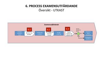 6. PROCESS EXAMENSUTFÄRDANDE Översikt ‐ UTKAST