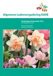 agenda kavb 2012.indd